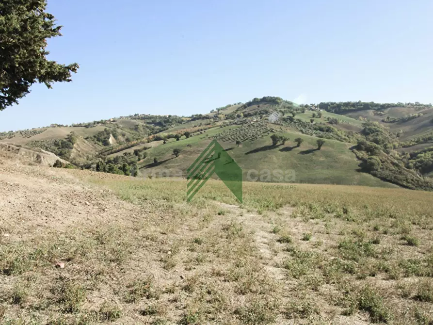 Immagine 4 di Rustico / casale in vendita  in Strada Provinciale 19 a Teramo