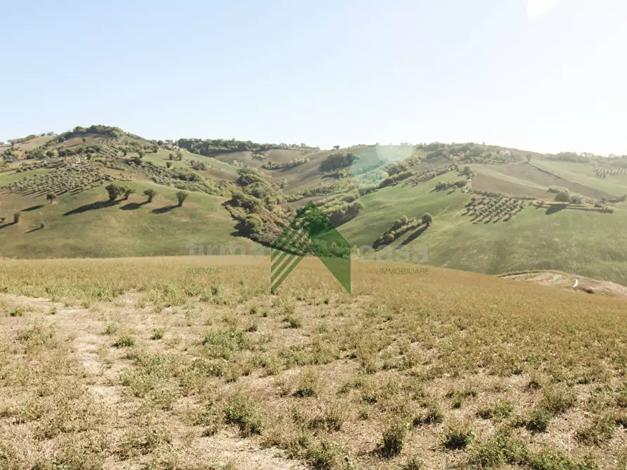Immagine 5 di Rustico / casale in vendita  in Strada Provinciale 19 a Teramo