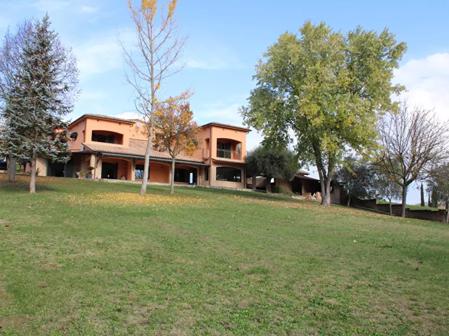 Immagine 4 di Villa in vendita  in via Della Madonna 11 a Campli