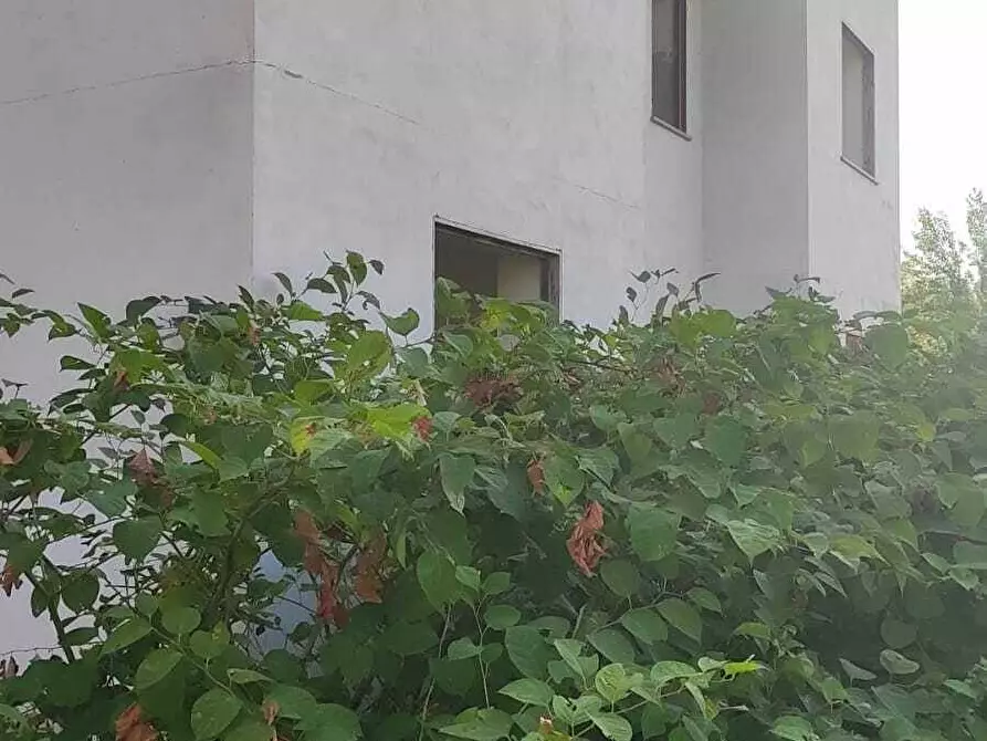 Immagine 5 di Casa indipendente in vendita  in Strada Cuorgnè 54 a Mappano