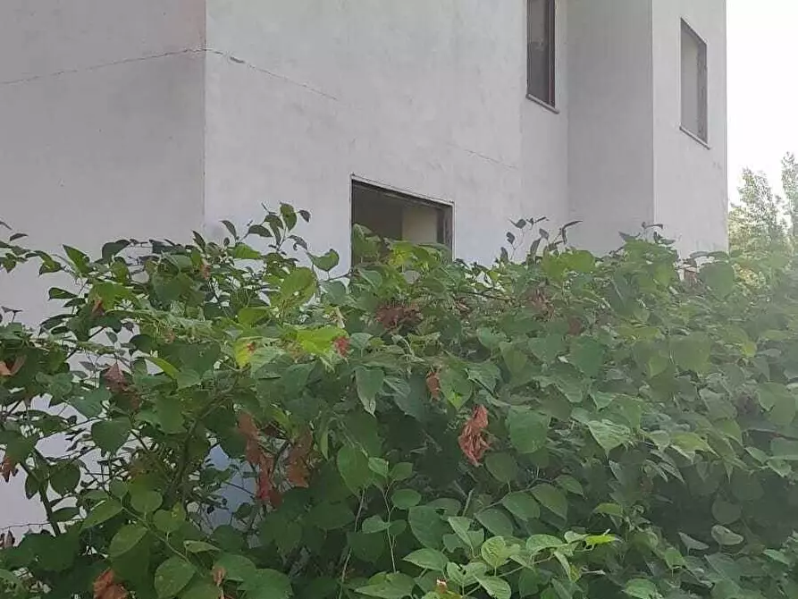 Immagine 8 di Casa indipendente in vendita  in Strada Cuorgnè 54 a Mappano