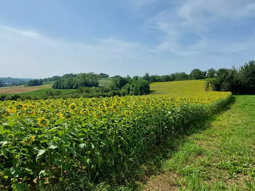 Immagine 1 di Terreno agricolo in vendita  in Via Roma 1 a Andezeno