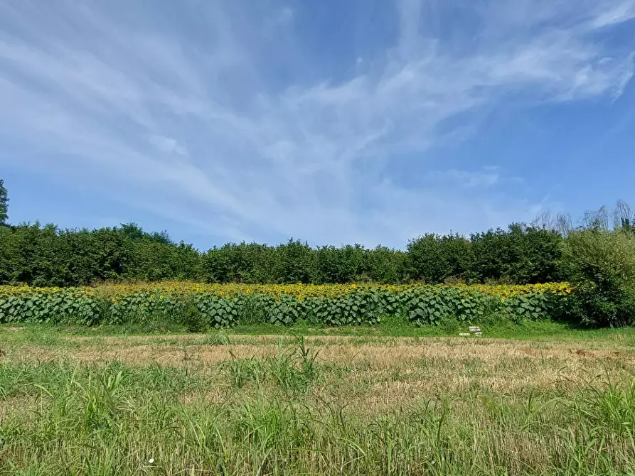 Immagine 9 di Terreno agricolo in vendita  in Via Roma 1 a Andezeno