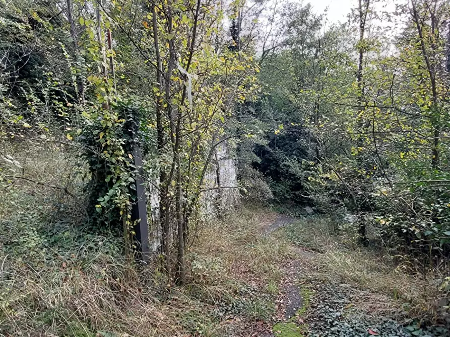 Immagine 4 di Casa indipendente in vendita  in Via Generale Armando Pezzana 19 a Almese