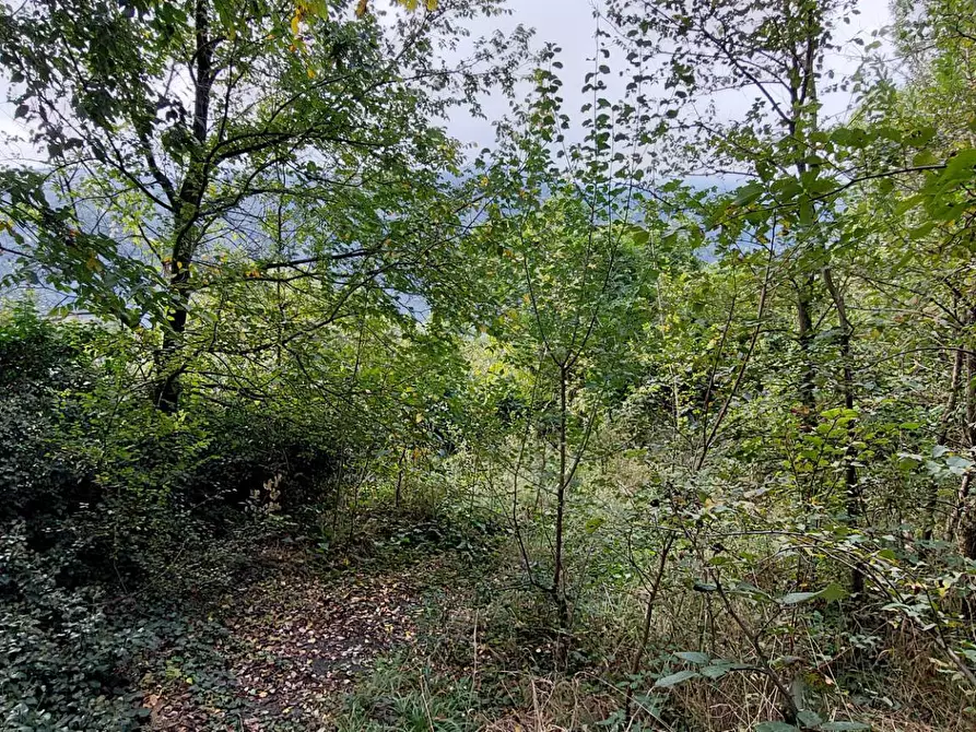 Immagine 5 di Casa indipendente in vendita  in Via Generale Armando Pezzana 19 a Almese