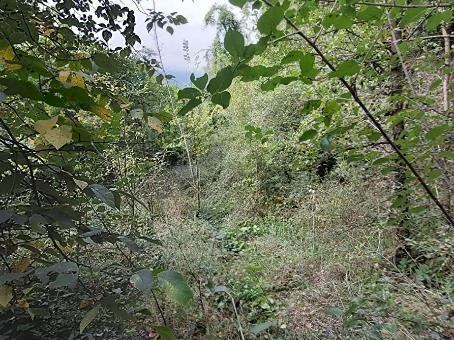 Immagine 8 di Casa indipendente in vendita  in Via Generale Armando Pezzana 19 a Almese