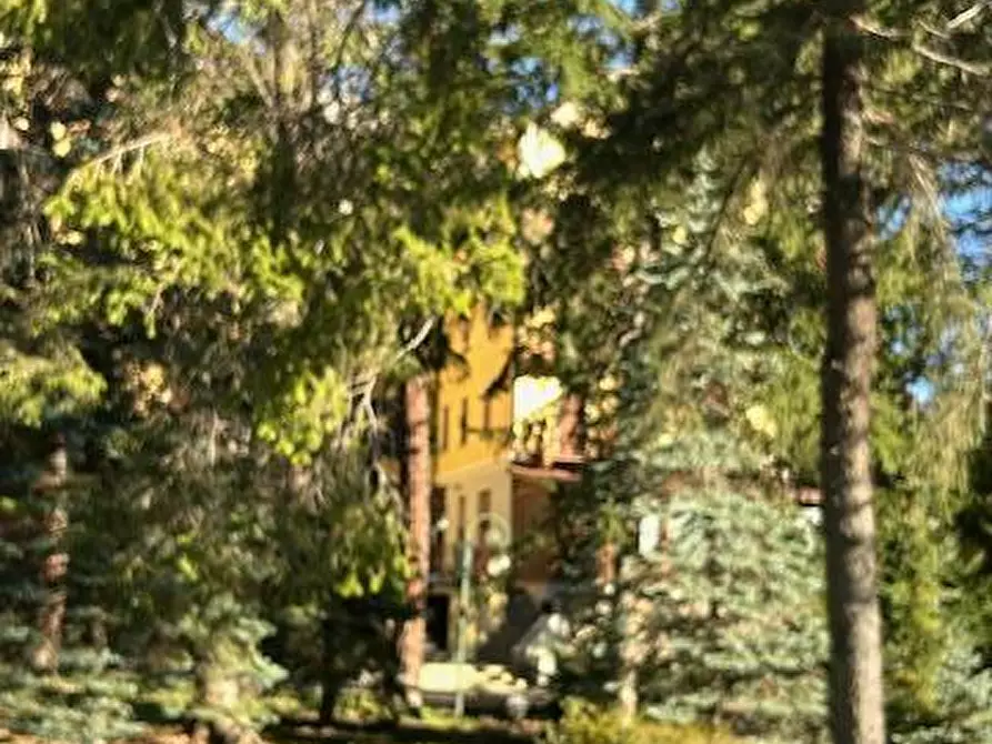 Immagine 8 di Appartamento in affitto  in via Medail 43 a Bardonecchia