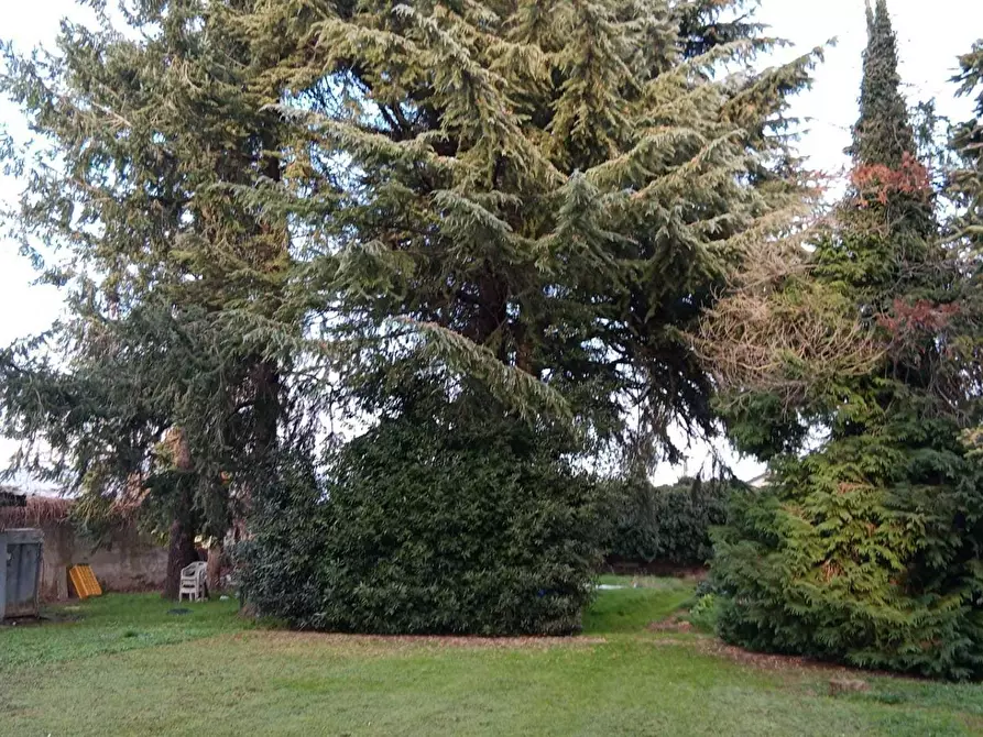 Immagine 3 di Casa indipendente in vendita  in Via Pascaretto 62 a Pinerolo