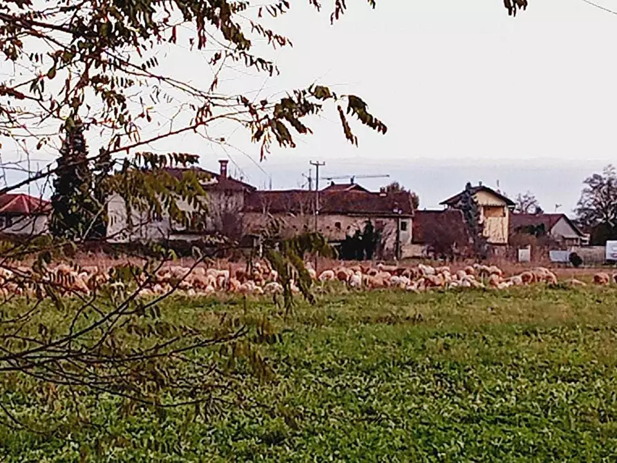 Immagine 4 di Casa indipendente in vendita  in Via Pascaretto 62 a Pinerolo