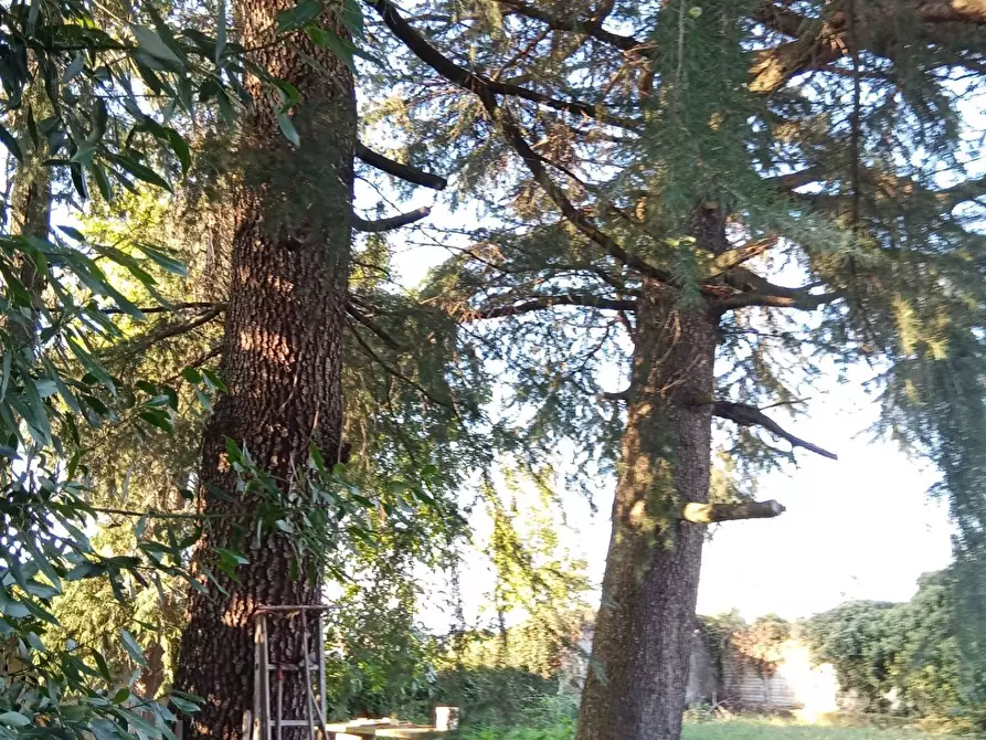 Immagine 10 di Casa indipendente in vendita  in Via Pascaretto 62 a Pinerolo