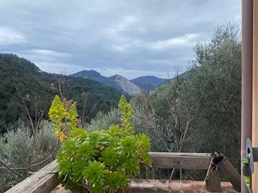 Immagine 4 di Casa indipendente in vendita  in farzione Verrandi snc a Ventimiglia