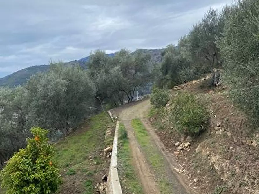 Immagine 17 di Casa indipendente in vendita  in farzione Verrandi snc a Ventimiglia