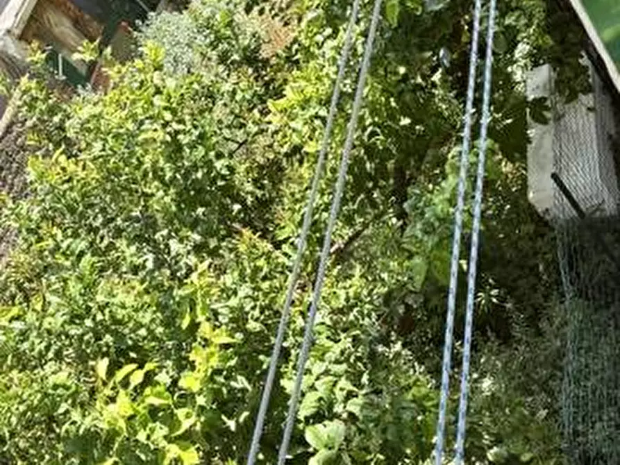Immagine 10 di Appartamento in affitto  in VIA SOSPELLO 8 a Ventimiglia