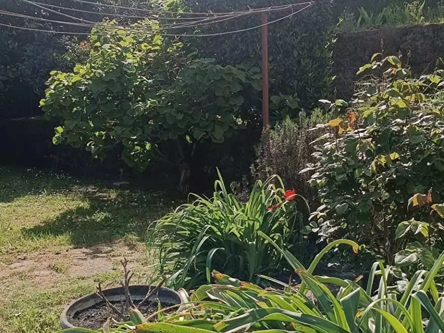 Immagine 5 di Villa in vendita  in Via 1 Maggio 50 a Beverino