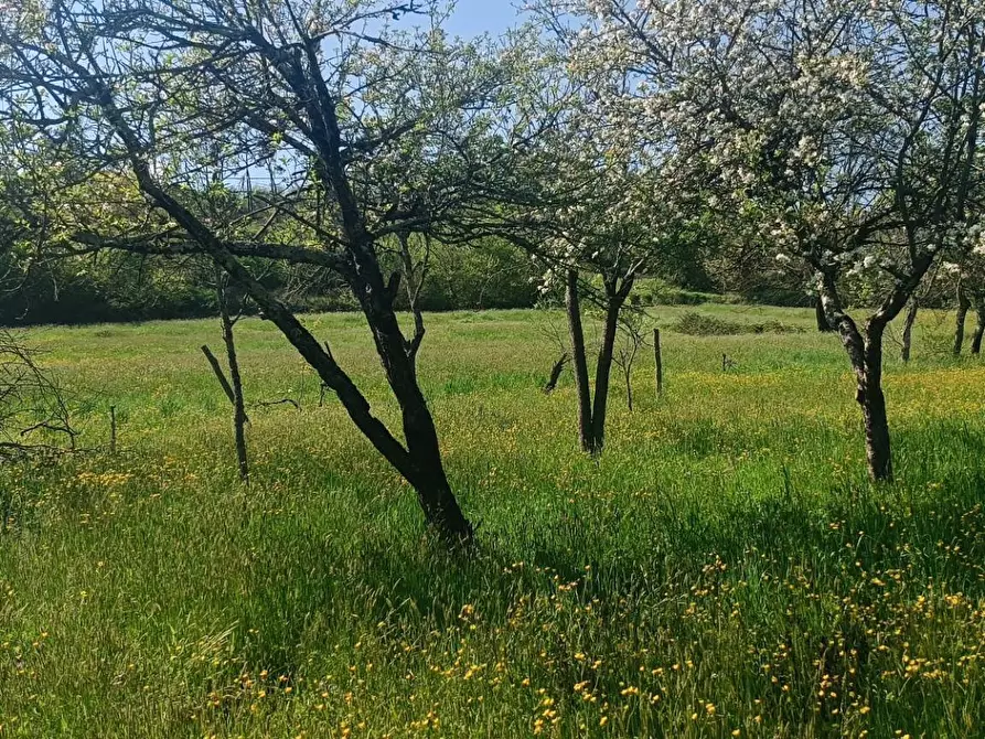 Immagine 4 di Rustico / casale in vendita  in Via I Maggio a Aulla