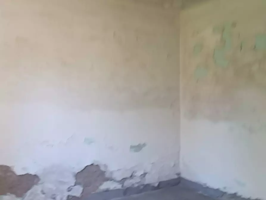 Immagine 7 di Rustico / casale in vendita  in Via I Maggio a Aulla