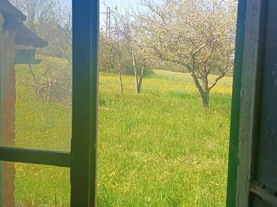 Immagine 9 di Rustico / casale in vendita  in Via I Maggio a Aulla