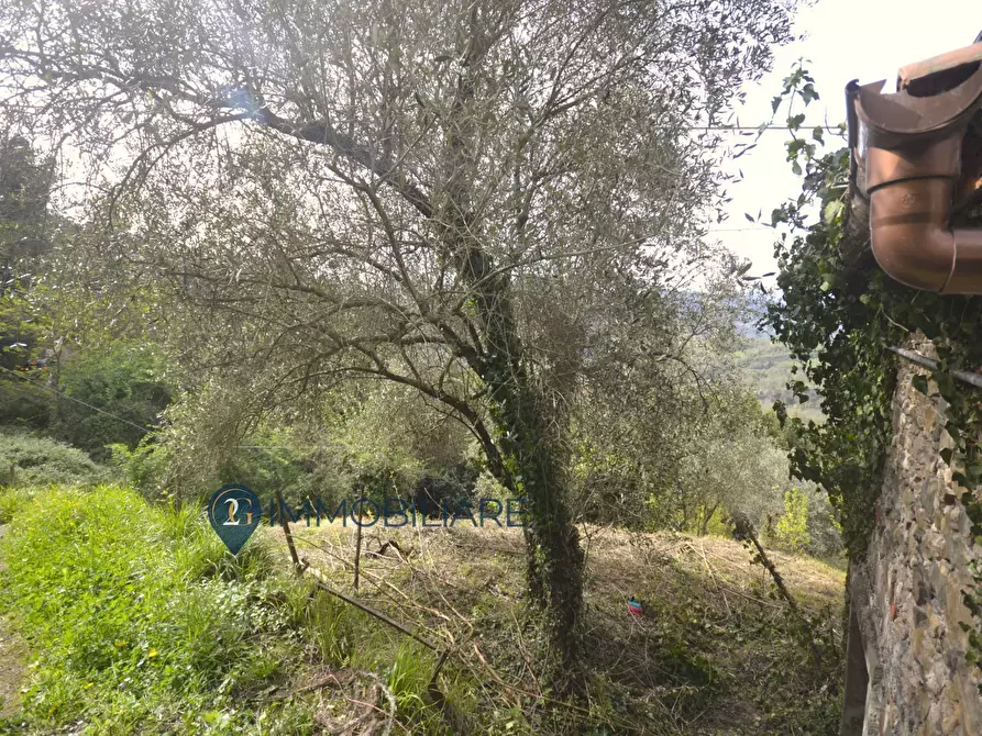 Immagine 4 di Casa indipendente in vendita  in Via Usurana 1 a Beverino