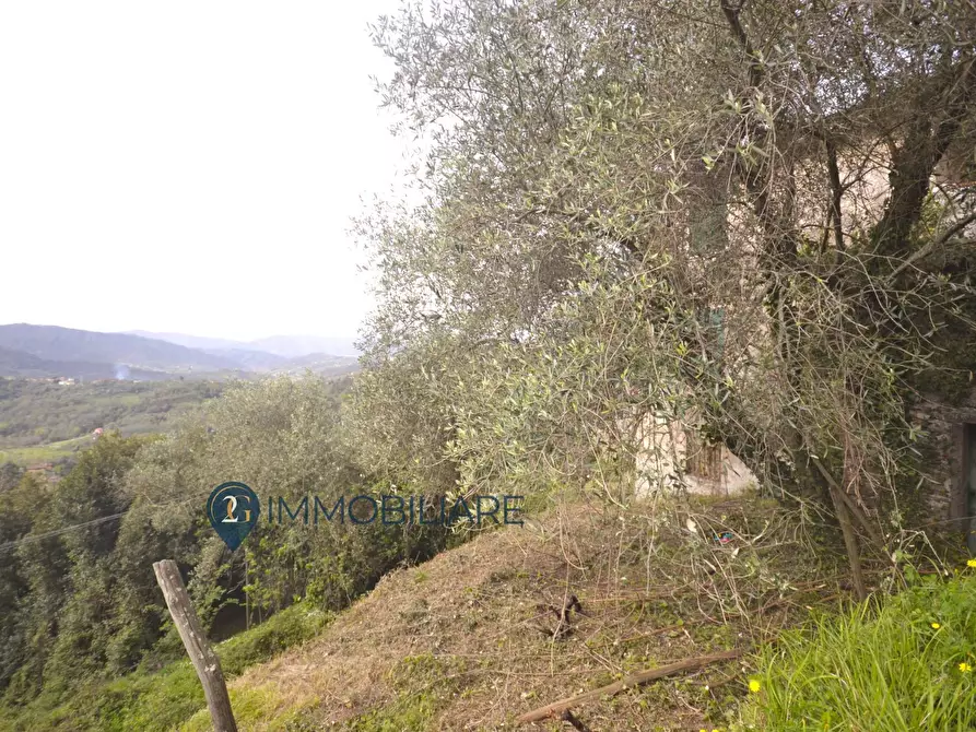 Immagine 12 di Casa indipendente in vendita  in Via Usurana 1 a Beverino