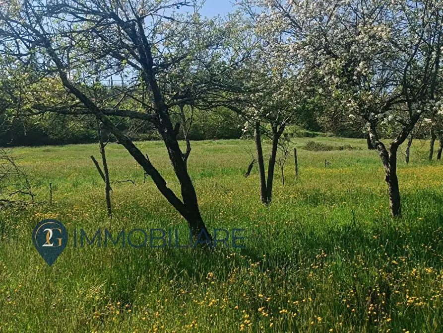 Immagine 15 di Rustico / casale in vendita  in Via I Maggio a Aulla