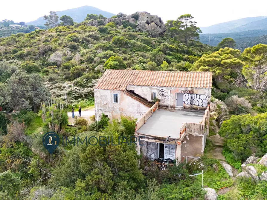 Immagine 3 di Villa in vendita  in Via San Leonardo a Capraia E Limite