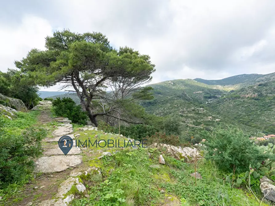 Immagine 4 di Villa in vendita  in Via San Leonardo a Capraia E Limite