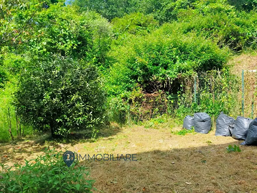 Immagine 14 di Appartamento in vendita  in Via Roma a Beverino