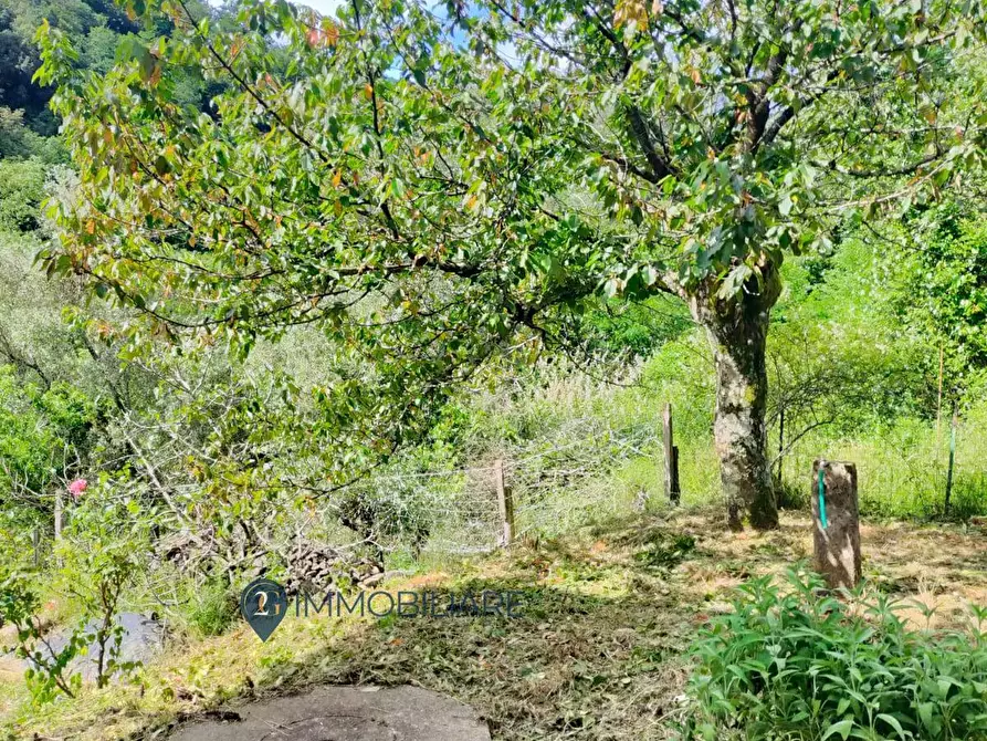 Immagine 15 di Appartamento in vendita  in Via Roma a Beverino