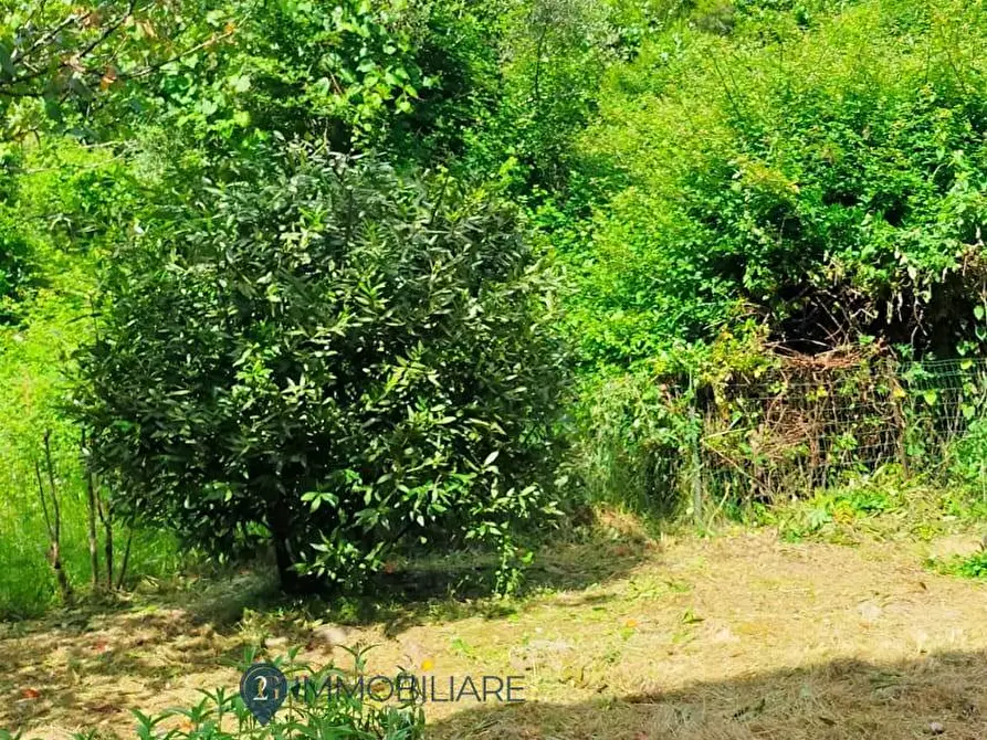 Immagine 24 di Appartamento in vendita  in Via Roma a Beverino