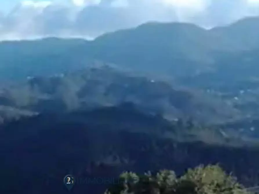 Immagine 9 di Casa indipendente in vendita  in via valle 14 a Riccò Del Golfo Di Spezia