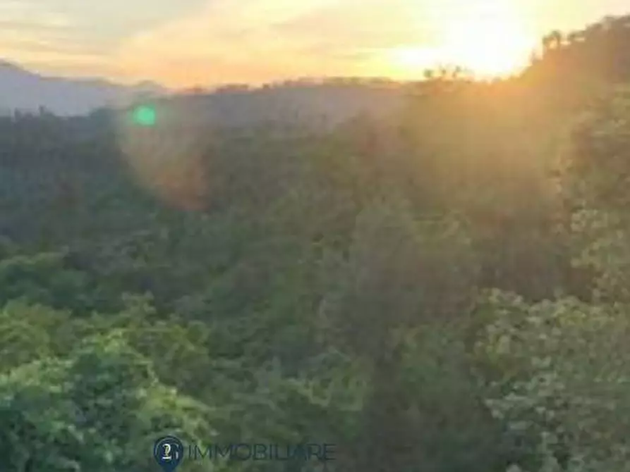 Immagine 13 di Casa indipendente in vendita  in via valle 14 a Riccò Del Golfo Di Spezia