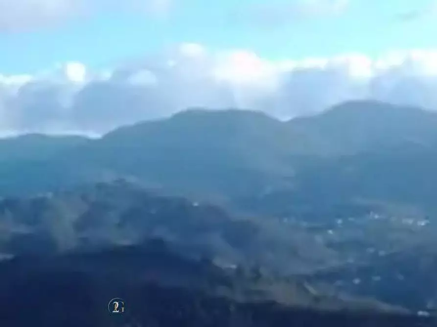 Immagine 14 di Casa indipendente in vendita  in via valle 14 a Riccò Del Golfo Di Spezia