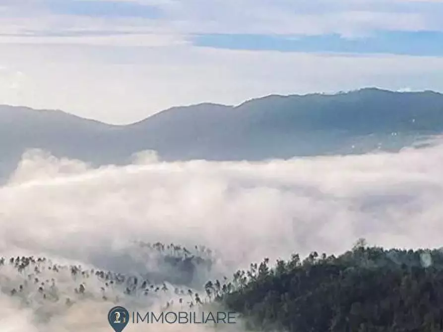Immagine 15 di Casa indipendente in vendita  in via valle 14 a Riccò Del Golfo Di Spezia
