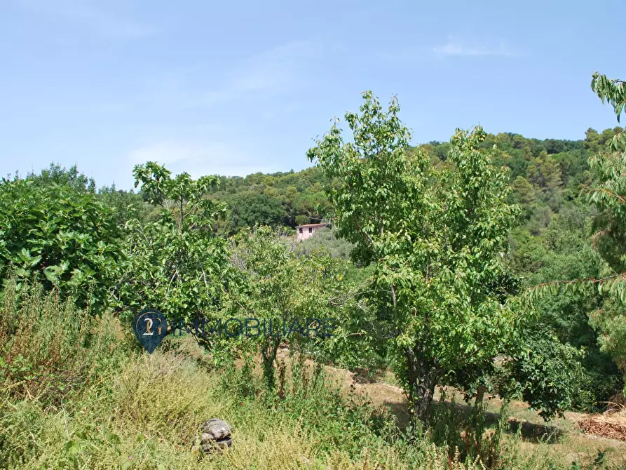 Immagine 15 di Rustico / casale in vendita  in Zanego a Beverino