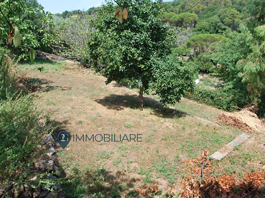 Immagine 11 di Rustico / casale in vendita  in Zanego a Beverino