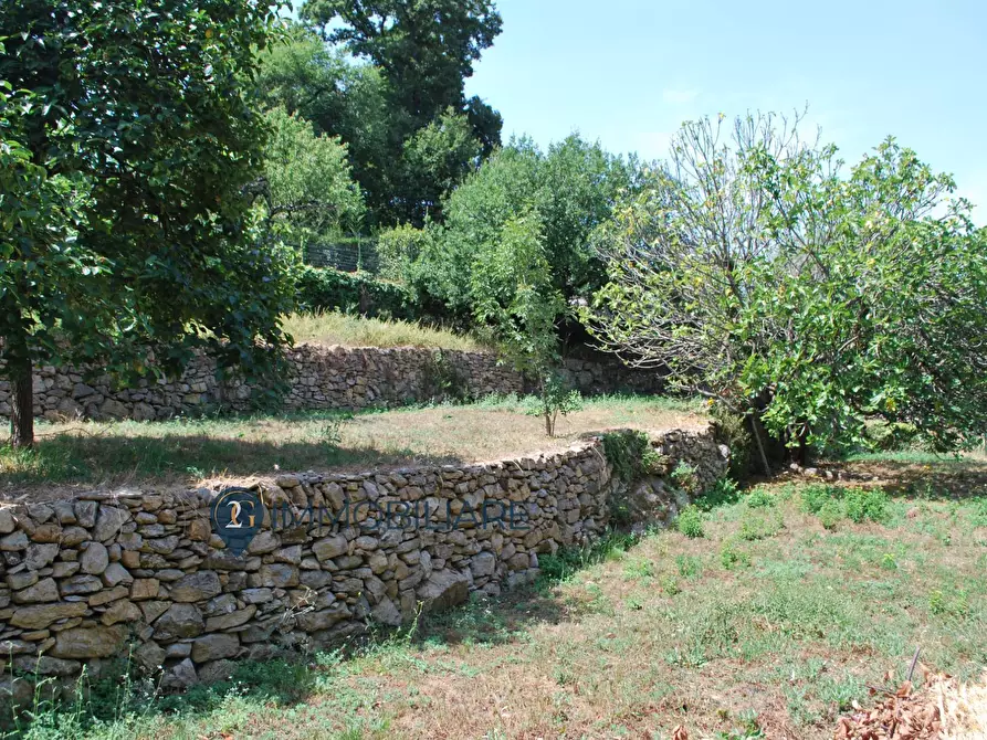 Immagine 13 di Rustico / casale in vendita  in Zanego a Beverino
