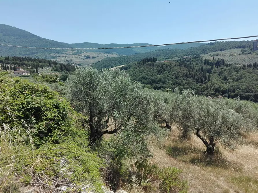 Immagine 2 di Terreno agricolo in vendita  in Località Baroncoli a Calenzano