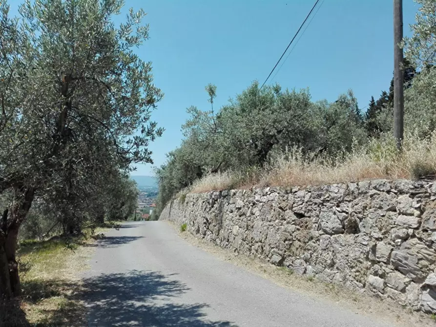 Immagine 4 di Terreno agricolo in vendita  in Località Baroncoli a Calenzano