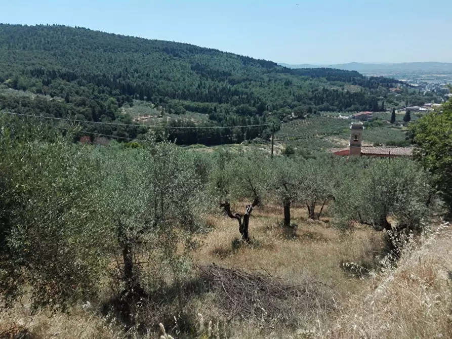 Immagine 5 di Terreno agricolo in vendita  in Località Baroncoli a Calenzano