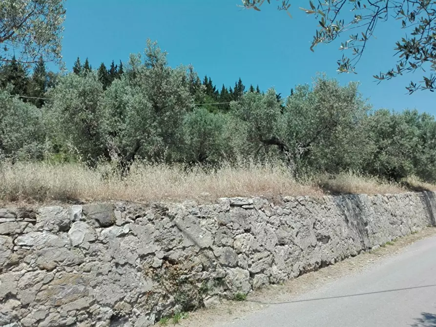 Immagine 7 di Terreno agricolo in vendita  in Località Baroncoli a Calenzano