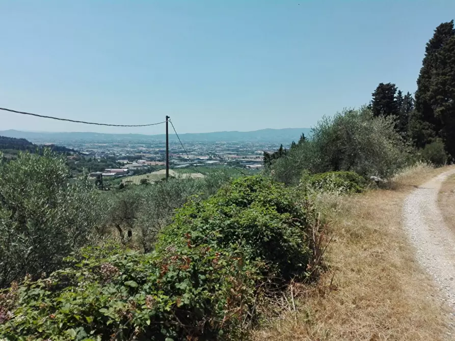Immagine 8 di Terreno agricolo in vendita  in Località Baroncoli a Calenzano