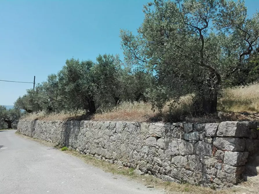 Immagine 9 di Terreno agricolo in vendita  in Località Baroncoli a Calenzano