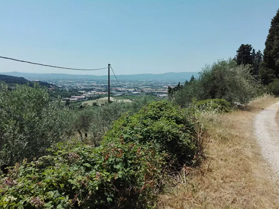 Immagine 10 di Terreno agricolo in vendita  in Località Baroncoli a Calenzano