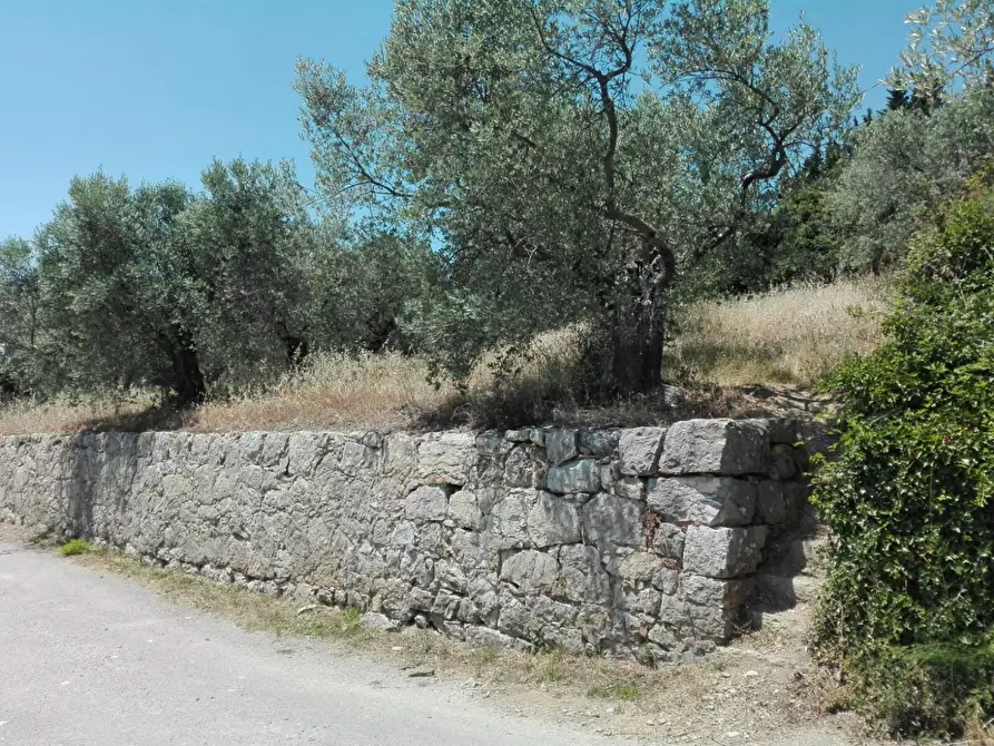 Immagine 11 di Terreno agricolo in vendita  in Località Baroncoli a Calenzano