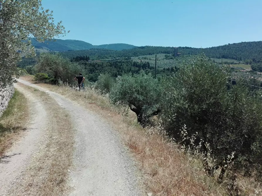 Immagine 12 di Terreno agricolo in vendita  in Località Baroncoli a Calenzano