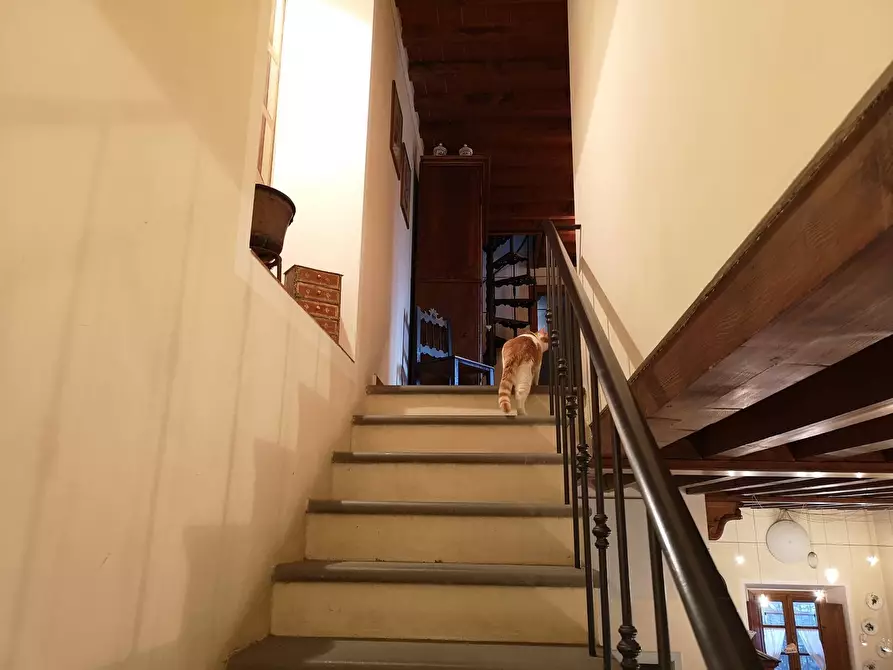 Immagine 32 di Casa indipendente in vendita  in Via di Carraia a Calenzano