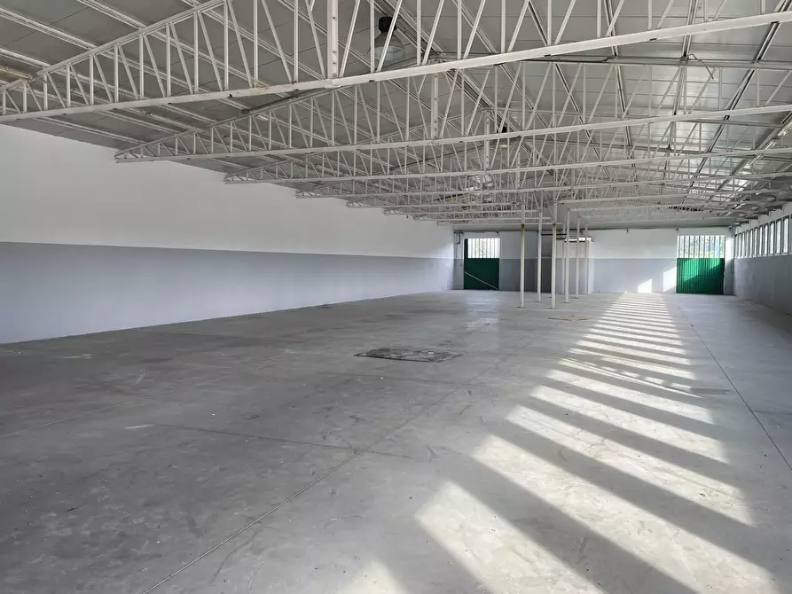 Immagine 3 di Capannone industriale in vendita  in Via Fosco Bessi a Calenzano