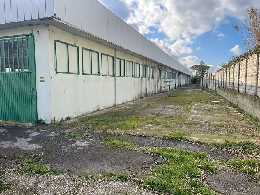 Immagine 15 di Capannone industriale in vendita  in Via Fosco Bessi a Calenzano