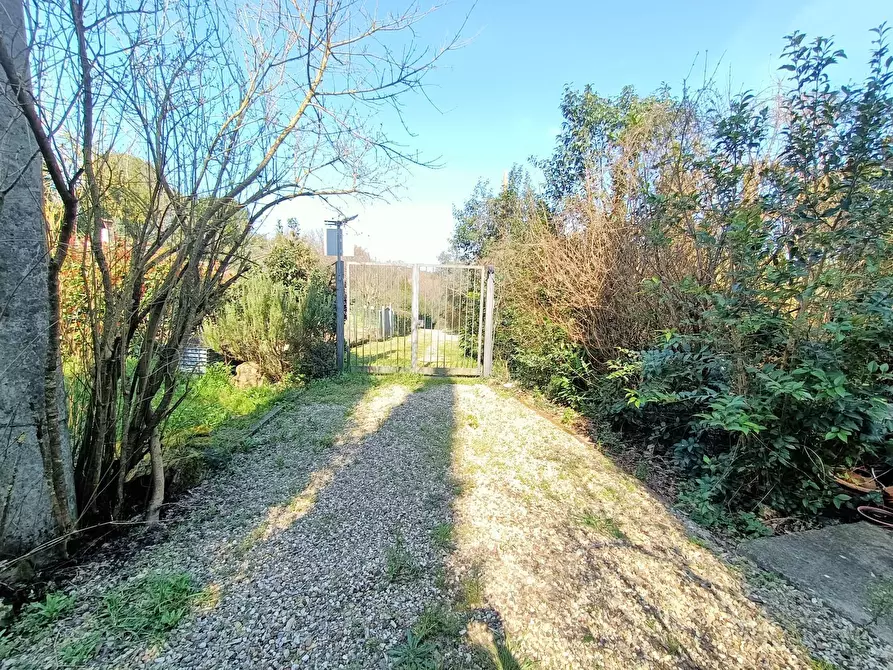 Immagine 5 di Villa in vendita  in Via di Novoli a Lastra A Signa