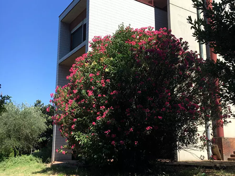 Immagine 2 di Villa in vendita  in via di San Miniato a Signa